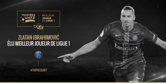 团队的精心 团队的精心