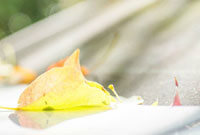 展现出色实 展现出色实