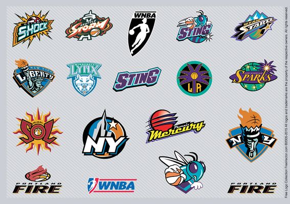 稳定的篮板 稳定的篮板