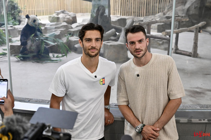 赛程强度 赛程强度